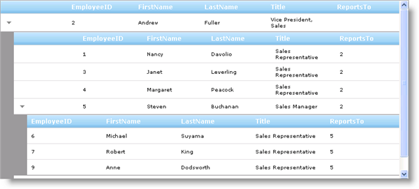 WebHierarchicalDataGrid Binding to Self Related Data 01.png