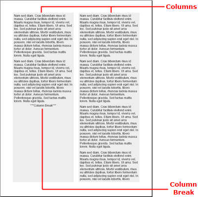 Screenshot of generated PDF showing the flow element's columns