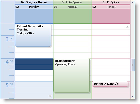 example of windayview using the office 2007 look a feel with multiple owners