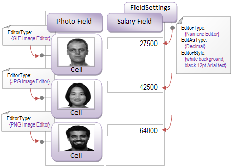 Editors can be applied at either Field or Cell level.