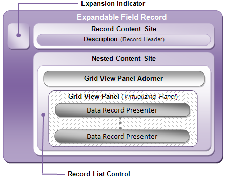 diagram showing the key areas of the expandable field record