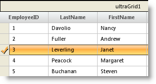 WinGrid Styling Row Selector Images for Different States of a Row 01.png