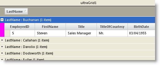 WinGrid Styling Rows and Row Connectors in Outlook Group By Mode 01.png
