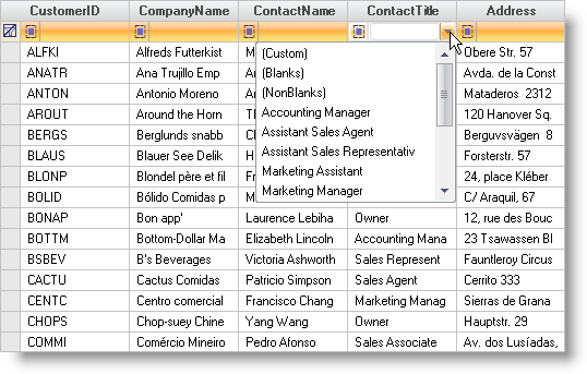 use the filter row feature in ultragrid