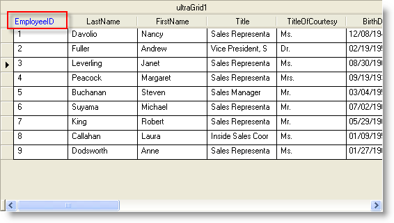 wingrid styling active cell row selector and column header appearances 02.png