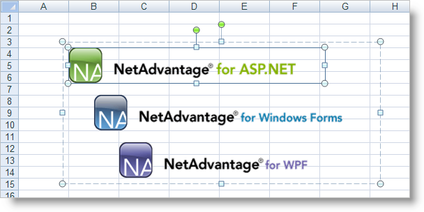 Screenshot of Excel worksheet with image in cells.