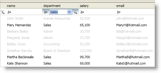 xamDataPresenter Modify the Look of Filtered Records.png